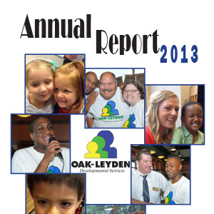 resources-annual-report-2013